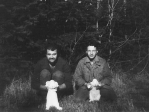 Foto 15